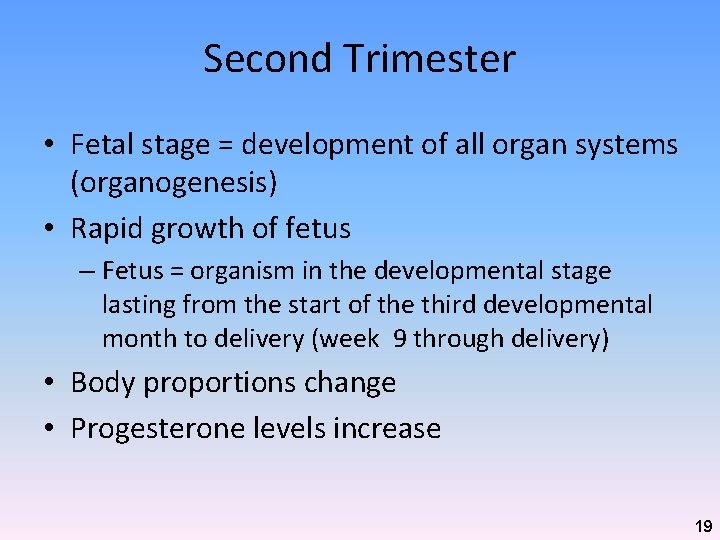 Second Trimester • Fetal stage = development of all organ systems (organogenesis) • Rapid