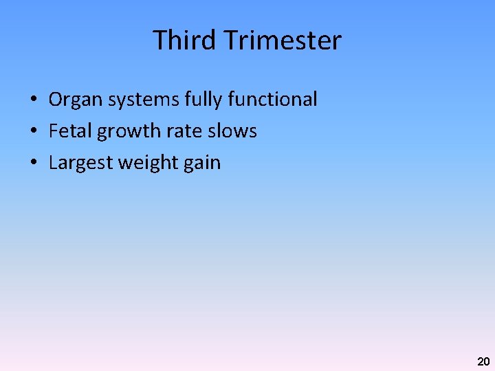 Third Trimester • Organ systems fully functional • Fetal growth rate slows • Largest