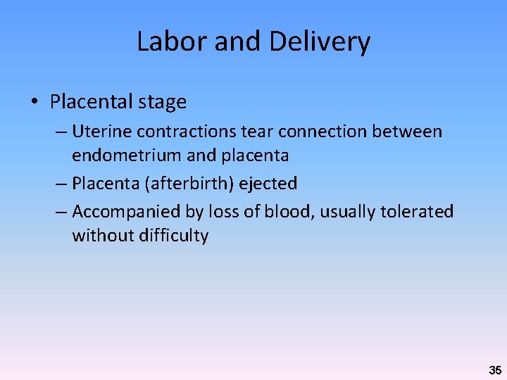 Labor and Delivery • Placental stage – Uterine contractions tear connection between endometrium and