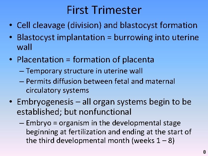 First Trimester • Cell cleavage (division) and blastocyst formation • Blastocyst implantation = burrowing