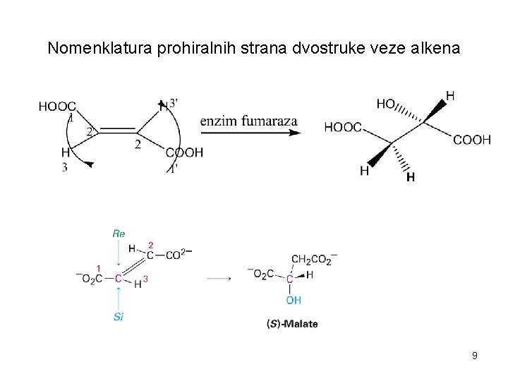Nomenklatura prohiralnih strana dvostruke veze alkena 9 