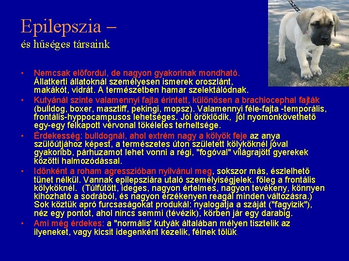 Epilepszia – és hűséges társaink • • • Nemcsak előfordul, de nagyon gyakorinak mondható. Epilepszia – és hűséges társaink • • • Nemcsak előfordul, de nagyon gyakorinak mondható.
