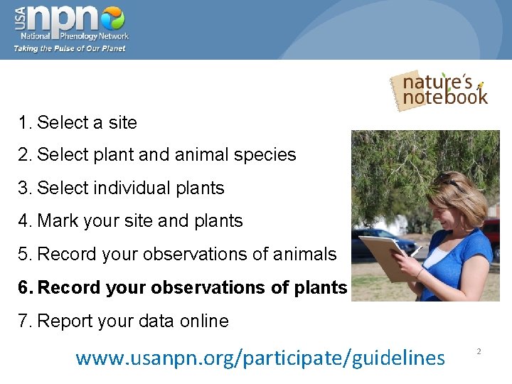 1. Select a site 2. Select plant and animal species 3. Select individual plants
