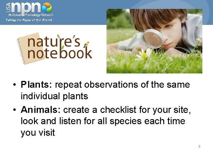  • Plants: repeat observations of the same individual plants • Animals: create a