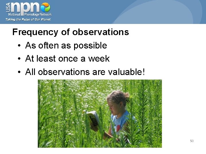 Frequency of observations • As often as possible • At least once a week