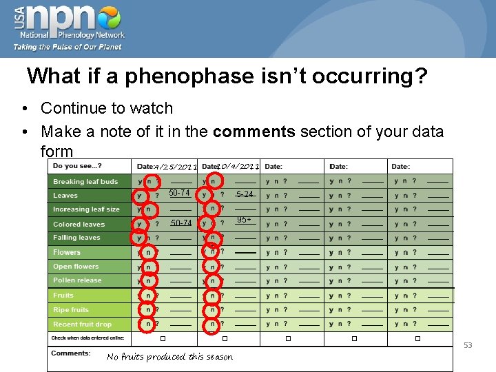 What if a phenophase isn’t occurring? • Continue to watch • Make a note