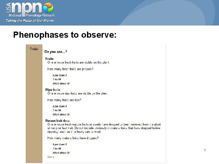 Phenophases to observe: 8 