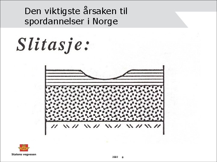 Den viktigste årsaken til spordannelser i Norge 2003 8 