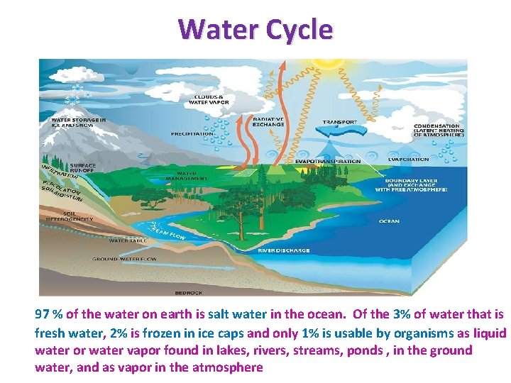 Water Cycle 97 % of the water on earth is salt water in the