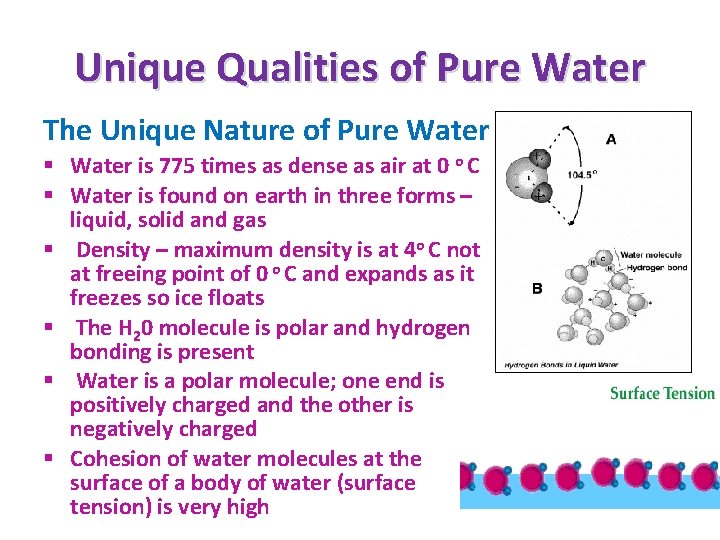 Unique Qualities of Pure Water The Unique Nature of Pure Water § Water is