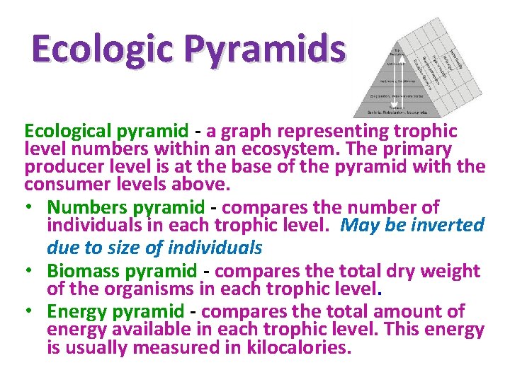 Ecologic Pyramids Ecological pyramid - a graph representing trophic level numbers within an ecosystem.