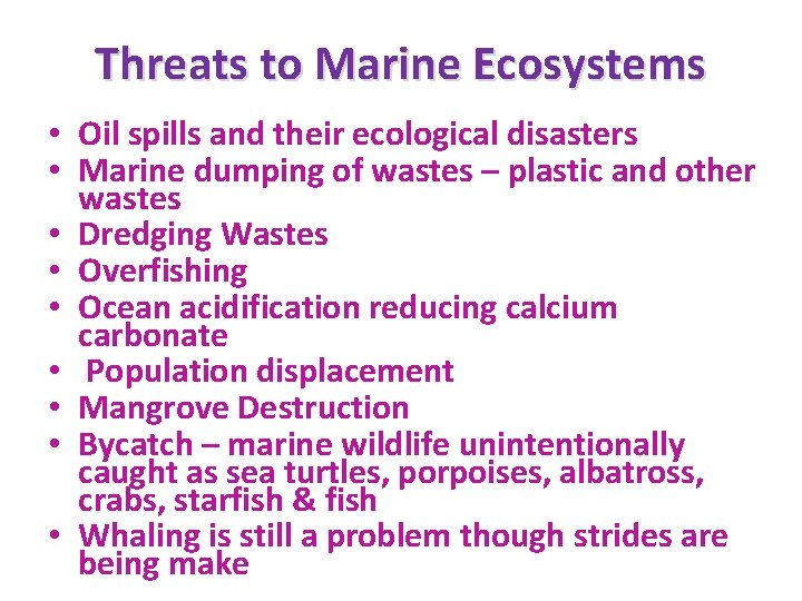 Threats to Marine Ecosystems • Oil spills and their ecological disasters • Marine dumping