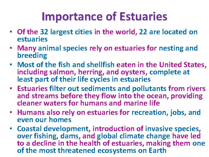 Importance of Estuaries • Of the 32 largest cities in the world, 22 are