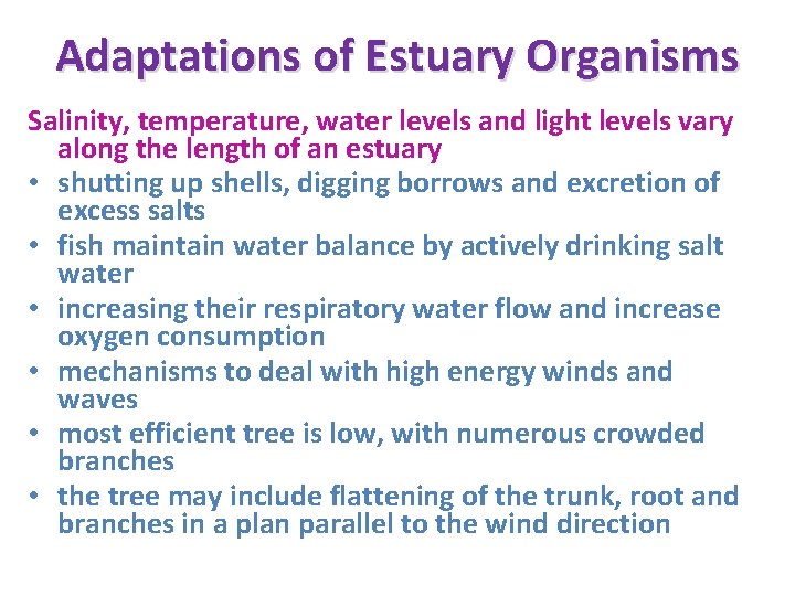 Adaptations of Estuary Organisms Salinity, temperature, water levels and light levels vary along the