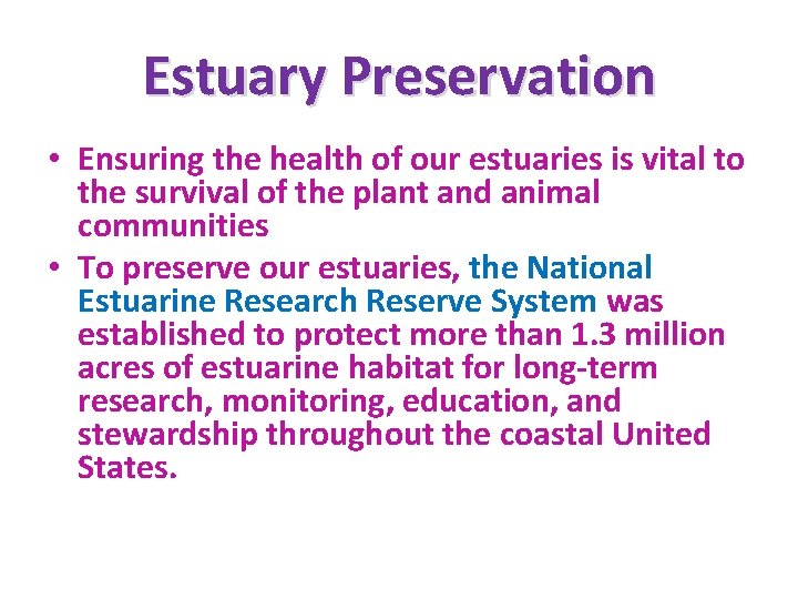 Estuary Preservation • Ensuring the health of our estuaries is vital to the survival