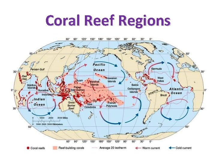 Coral Reef Regions 