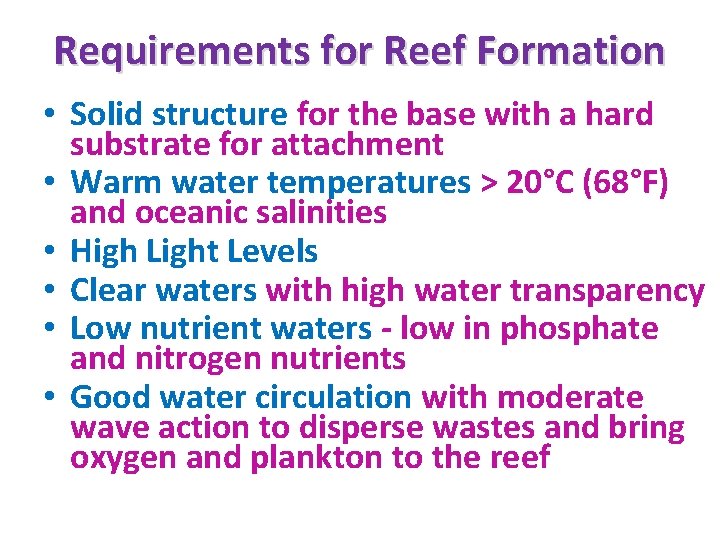 Requirements for Reef Formation • Solid structure for the base with a hard substrate