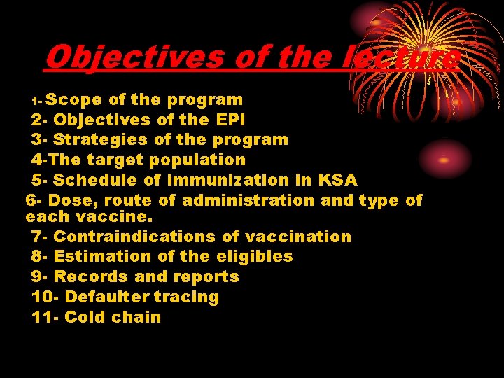 Objectives of the lecture Scope of the program 2 - Objectives of the EPI