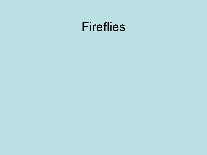 Fireflies 