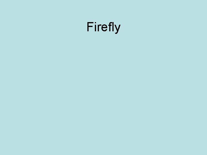 Firefly 