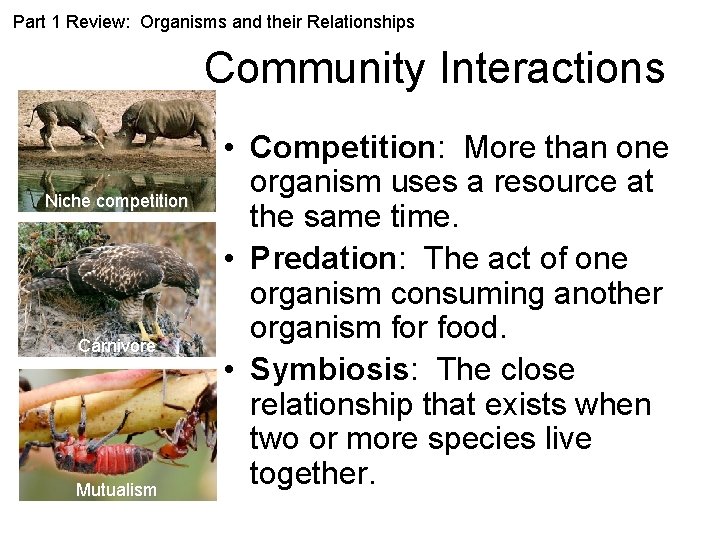 Part 1 Review: Organisms and their Relationships Community Interactions Niche competition Carnivore Mutualism •