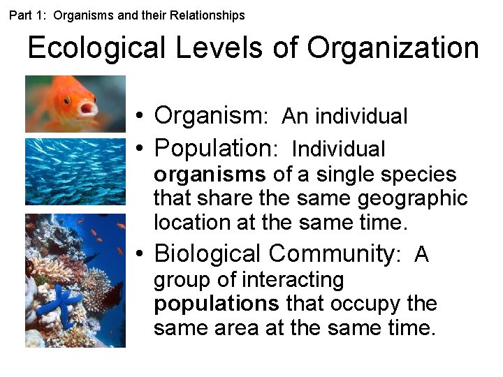 Part 1: Organisms and their Relationships Ecological Levels of Organization • Organism: An individual