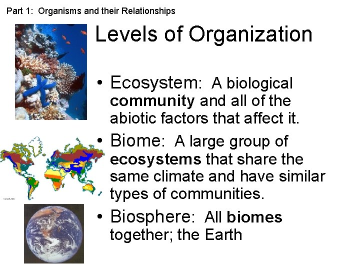 Part 1: Organisms and their Relationships Levels of Organization • Ecosystem: A biological community