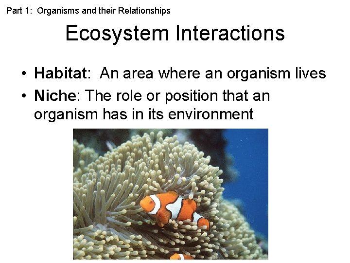 Part 1: Organisms and their Relationships Ecosystem Interactions • Habitat: An area where an