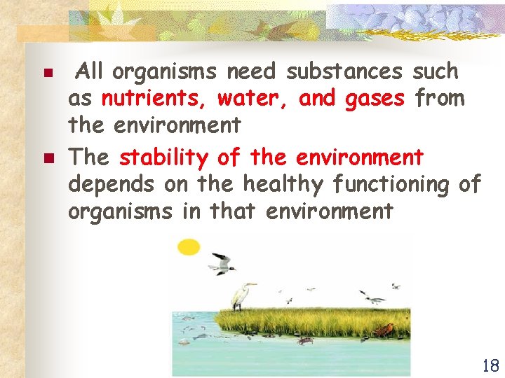 n n All organisms need substances such as nutrients, water, and gases from the