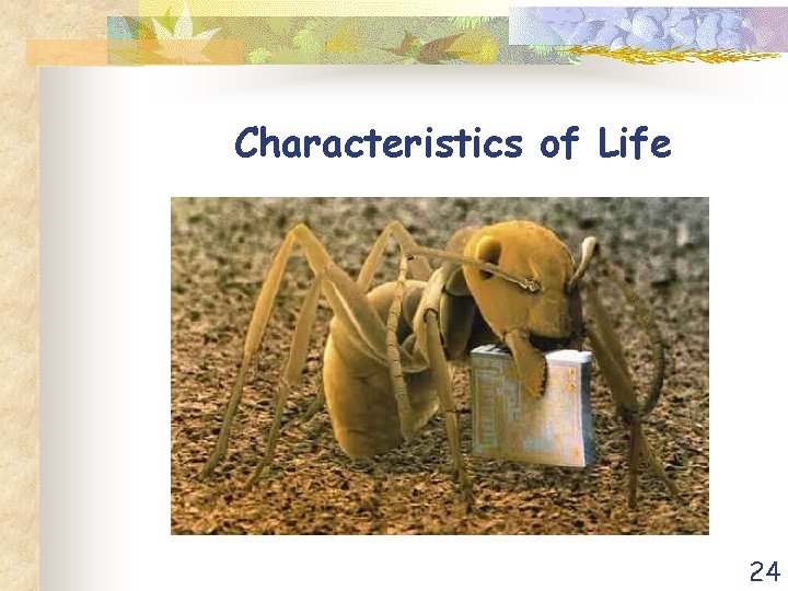 Characteristics of Life 24 