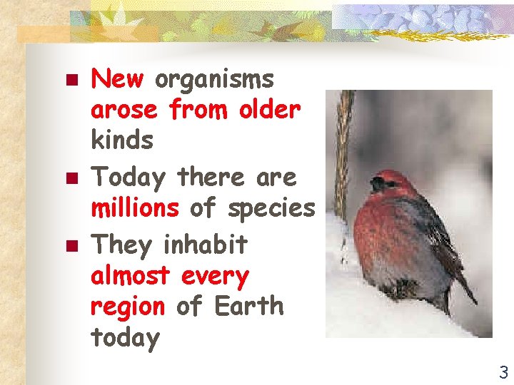 n n n New organisms arose from older kinds Today there are millions of