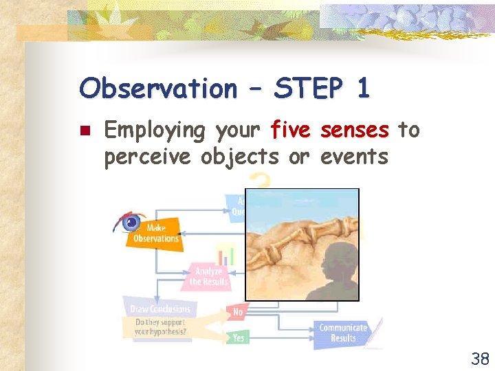 Observation – STEP 1 n Employing your five senses to perceive objects or events