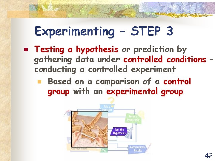 Experimenting – STEP 3 n Testing a hypothesis or prediction by gathering data under