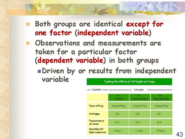 n n Both groups are identical except for one factor (independent variable) variable Observations