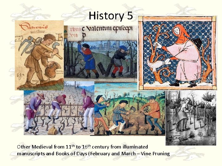 History 5 Other Medieval from 11 th to 16 th century from illuminated manuscripts