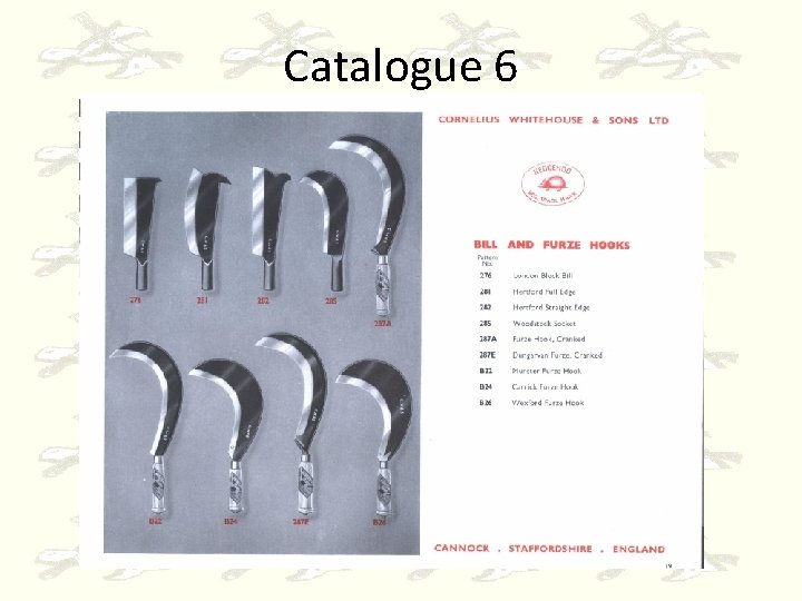 Catalogue 6 