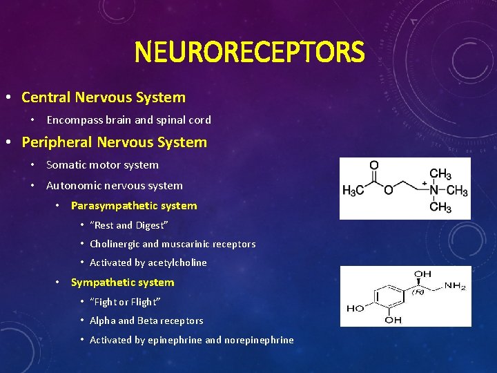 NEURORECEPTORS • Central Nervous System • Encompass brain and spinal cord • Peripheral Nervous