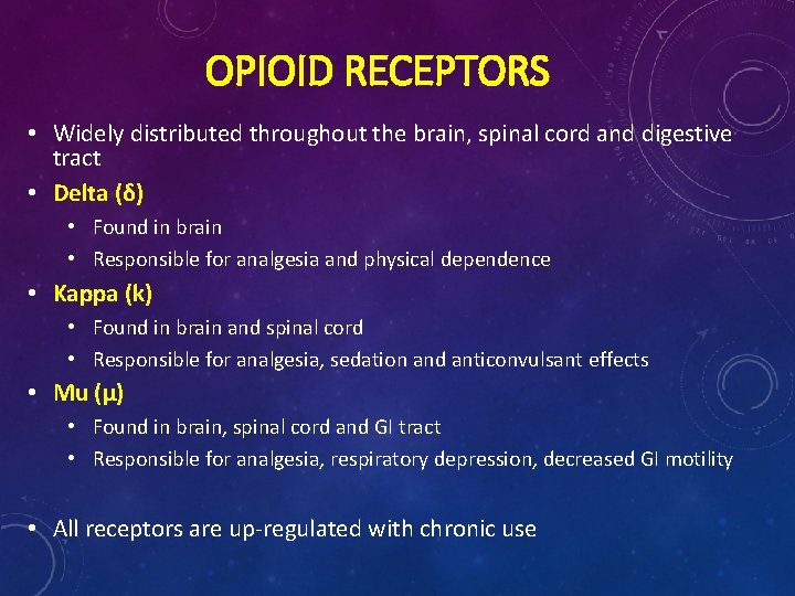 OPIOID RECEPTORS • Widely distributed throughout the brain, spinal cord and digestive tract •