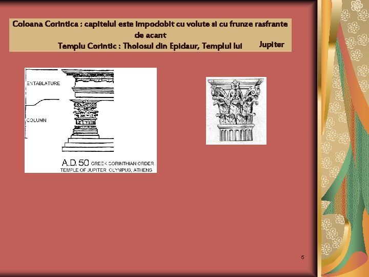 Coloana Corintica : capitelul este impodobit cu volute si cu frunze rasfrante de acant