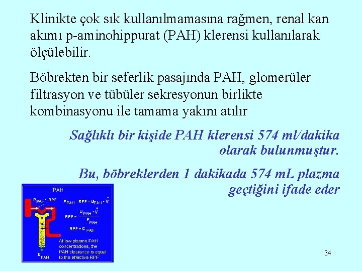Klinikte çok sık kullanılmamasına rağmen, renal kan akımı p-aminohippurat (PAH) klerensi kullanılarak ölçülebilir. Böbrekten