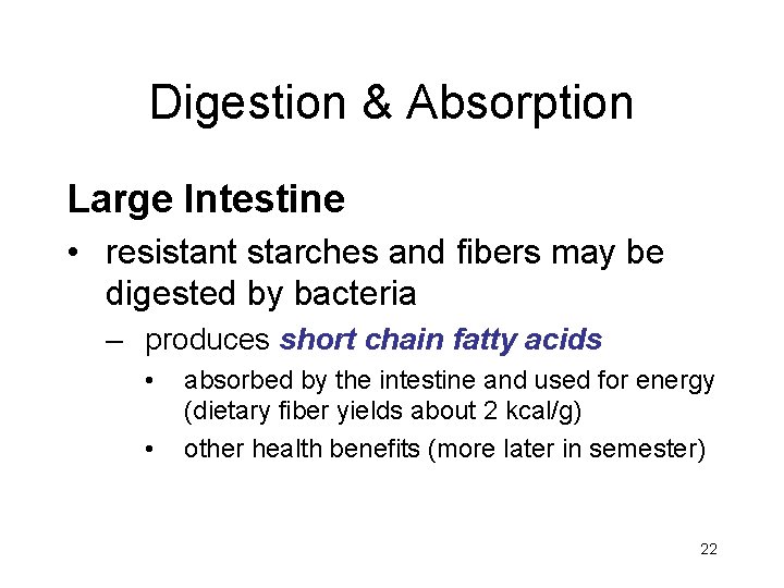 Digestion & Absorption Large Intestine • resistant starches and fibers may be digested by