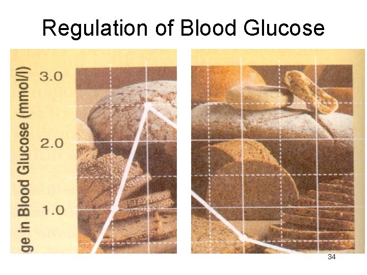 Regulation of Blood Glucose 34 