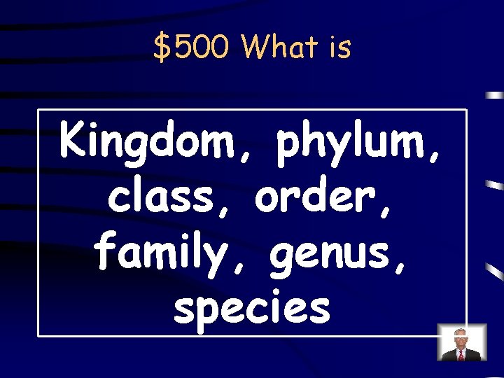 $500 What is Kingdom, phylum, class, order, family, genus, species 