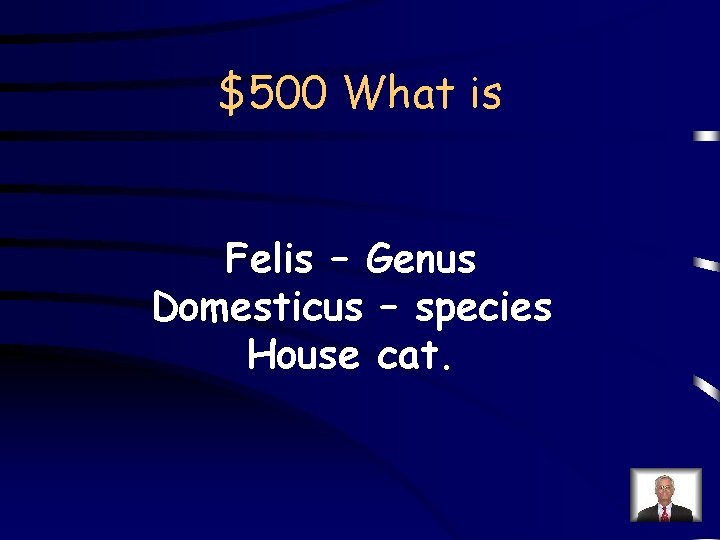 $500 What is Felis – Genus Domesticus – species House cat. 