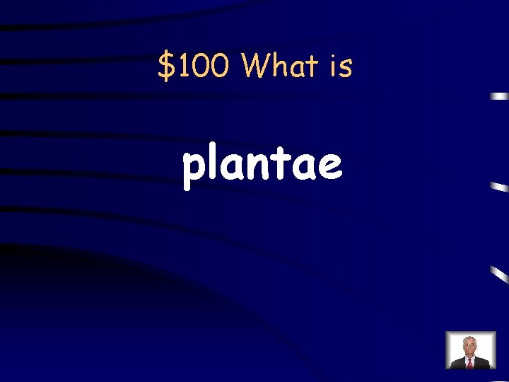 $100 What is plantae 