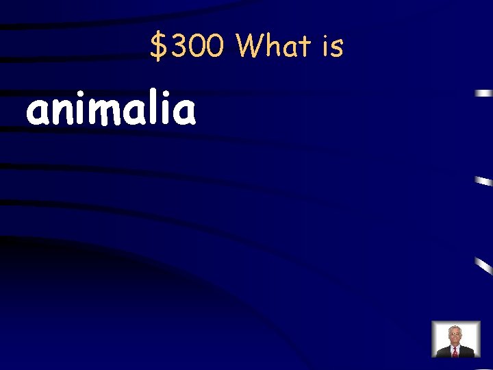 $300 What is animalia 