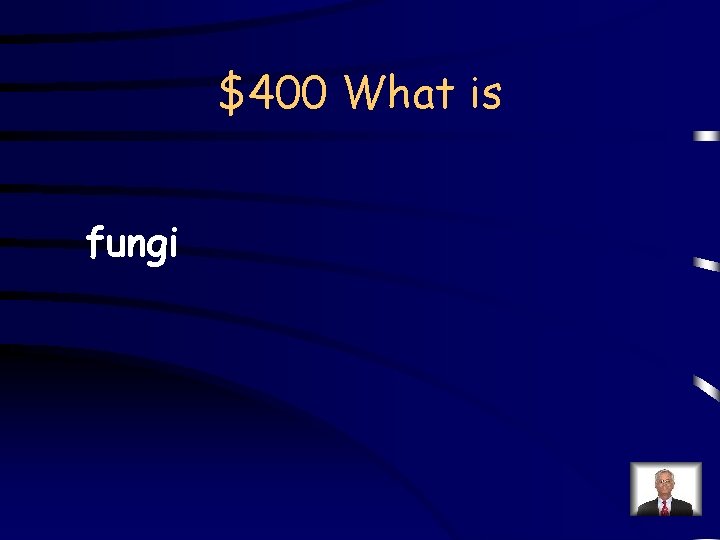 $400 What is fungi 