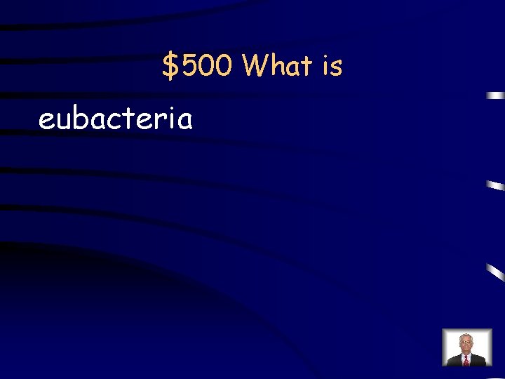 $500 What is eubacteria 