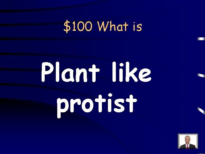 $100 What is Plant like protist 