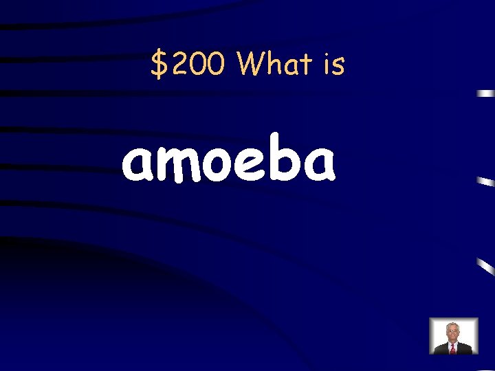 $200 What is amoeba 